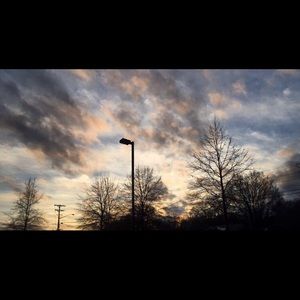 Meet your Posher, Carlye